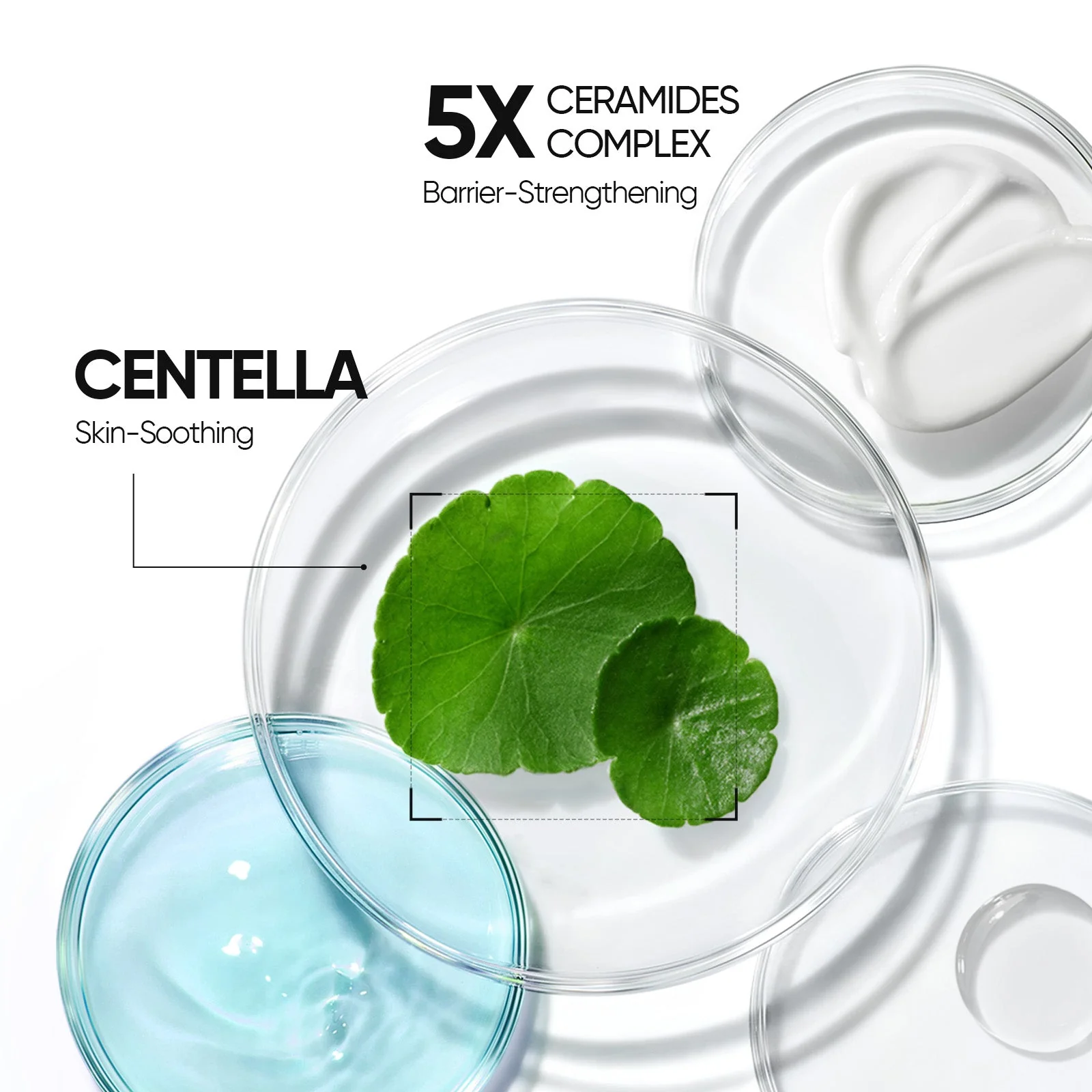 Lip Serum + Cover Cushion + 5X Ceramide Barrier 3 pcs - Image 20
