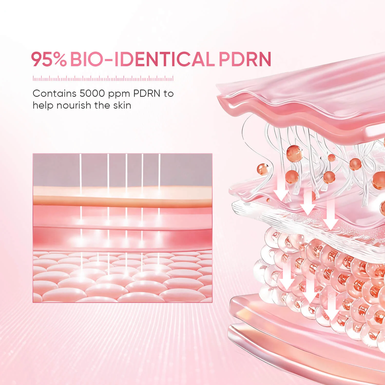 PDRN Brightening Smooth Serum - Image 7